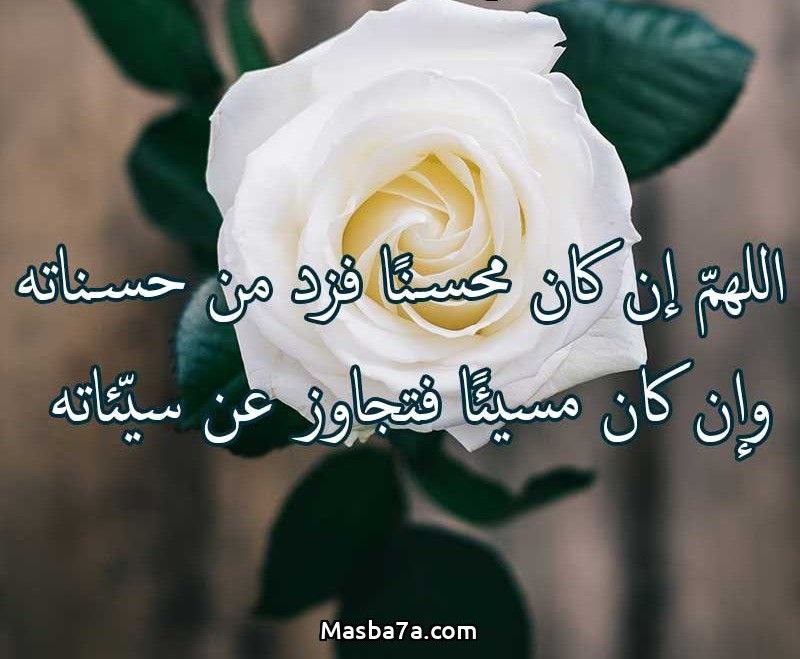 حسين كمال احمد محمد